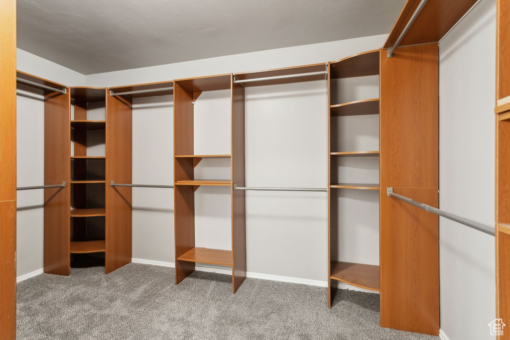 Spacious closet featuring carpet