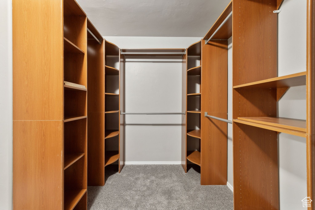 Spacious closet featuring carpet flooring