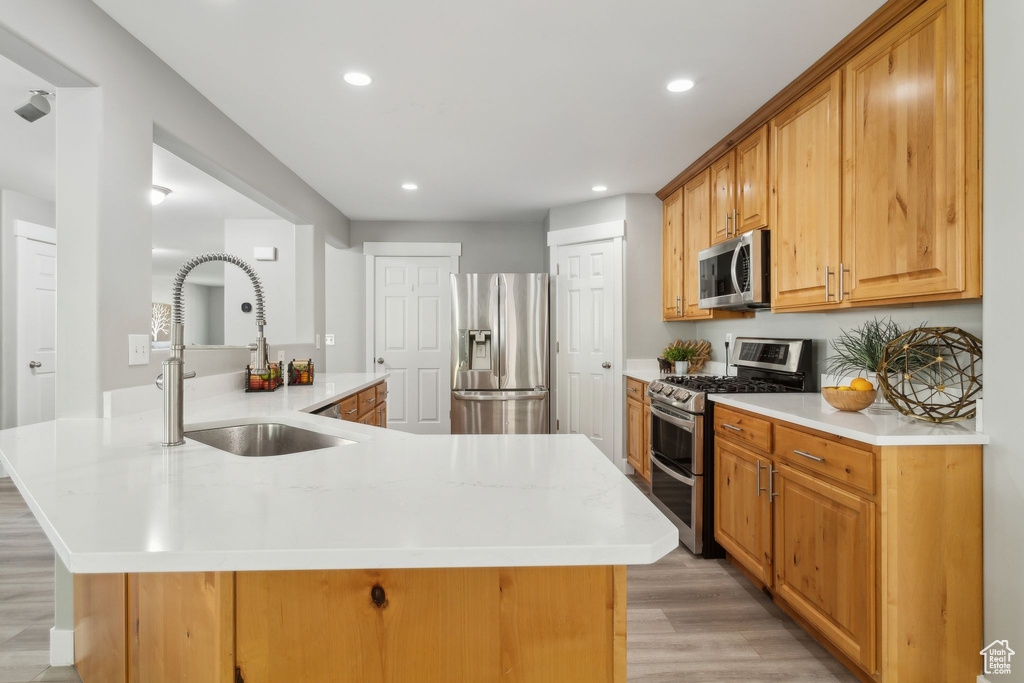Kitchen with appliances with stainless steel finishes, a sink, light wood-type flooring, recessed lighting, and light countertops