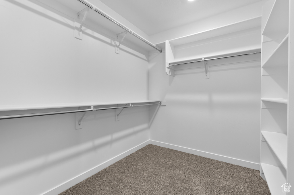 Walk in closet featuring dark carpet