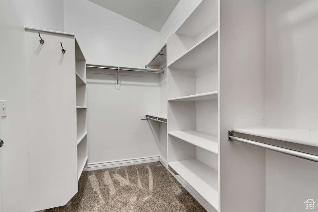 Walk in closet with carpet flooring