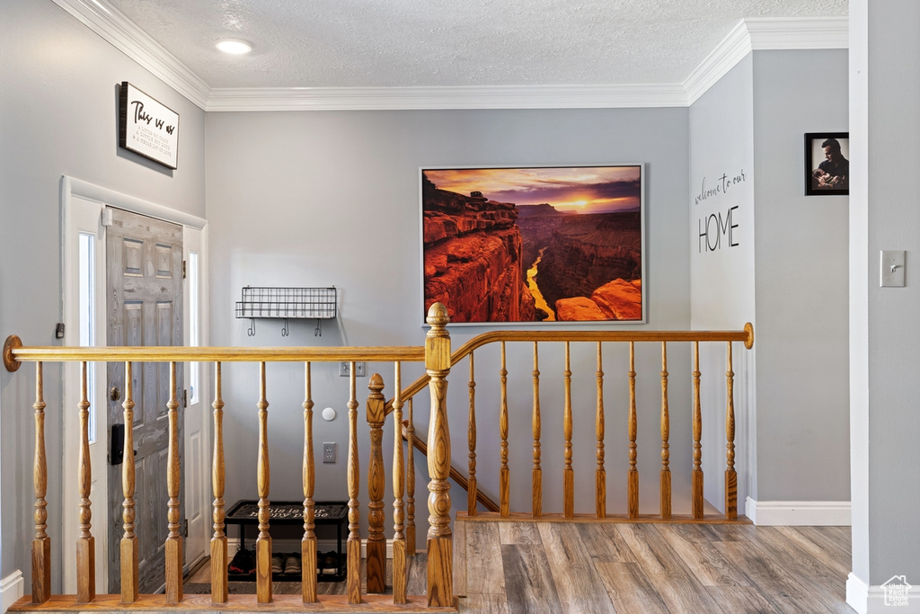 Foyer featuring wood finished floors, baseboards, crown molding, and a textured ceiling