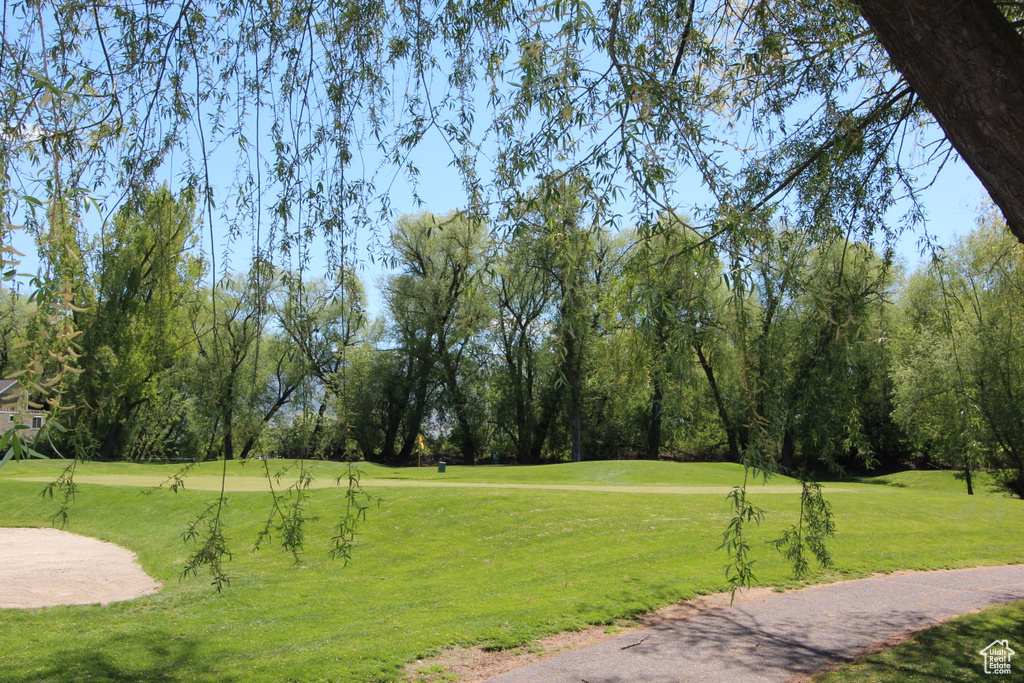View of home\'s community with a yard