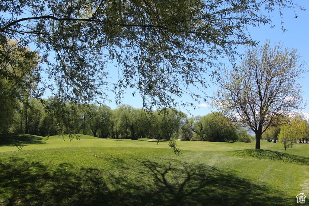 View of grassy yard with golf course view and view of wooded area