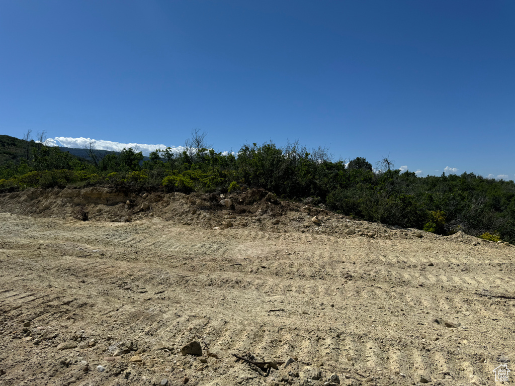 View of undeveloped land
