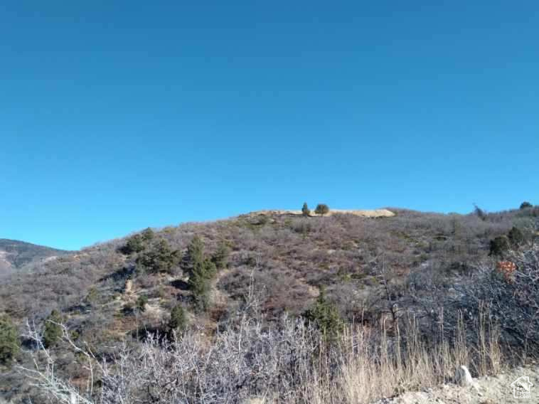 View of undeveloped land with mountains