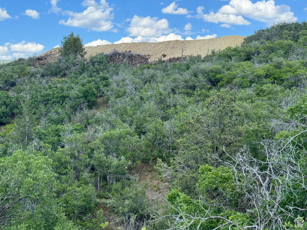 View of mountain backdrop featuring a forest