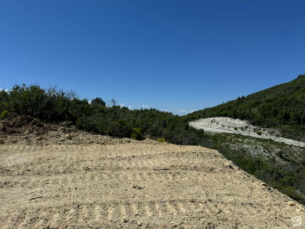 View of undeveloped land