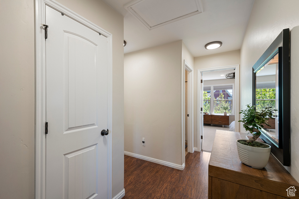 Corridor with baseboards and dark wood finished floors