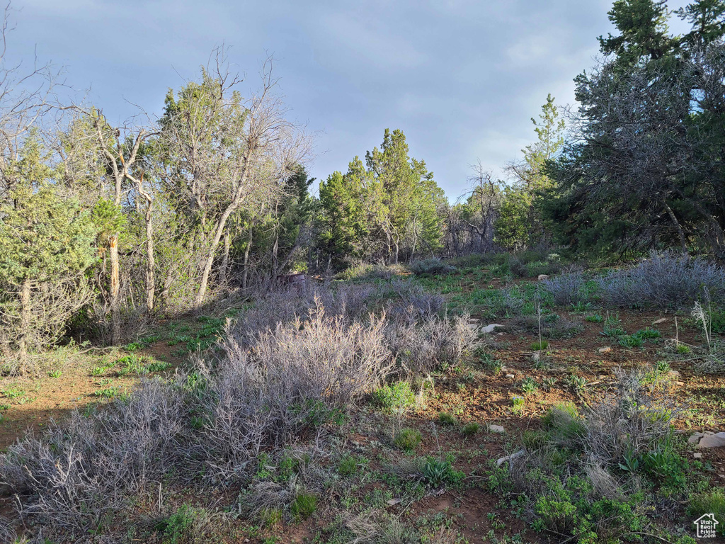 View of undeveloped land