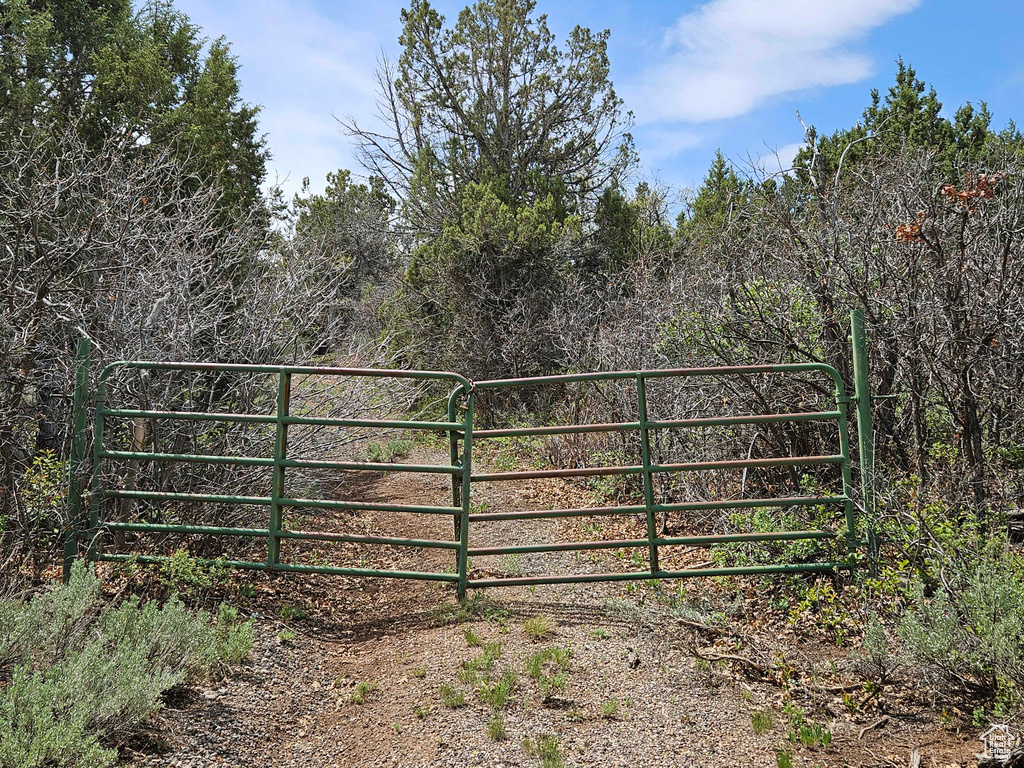 View of gate