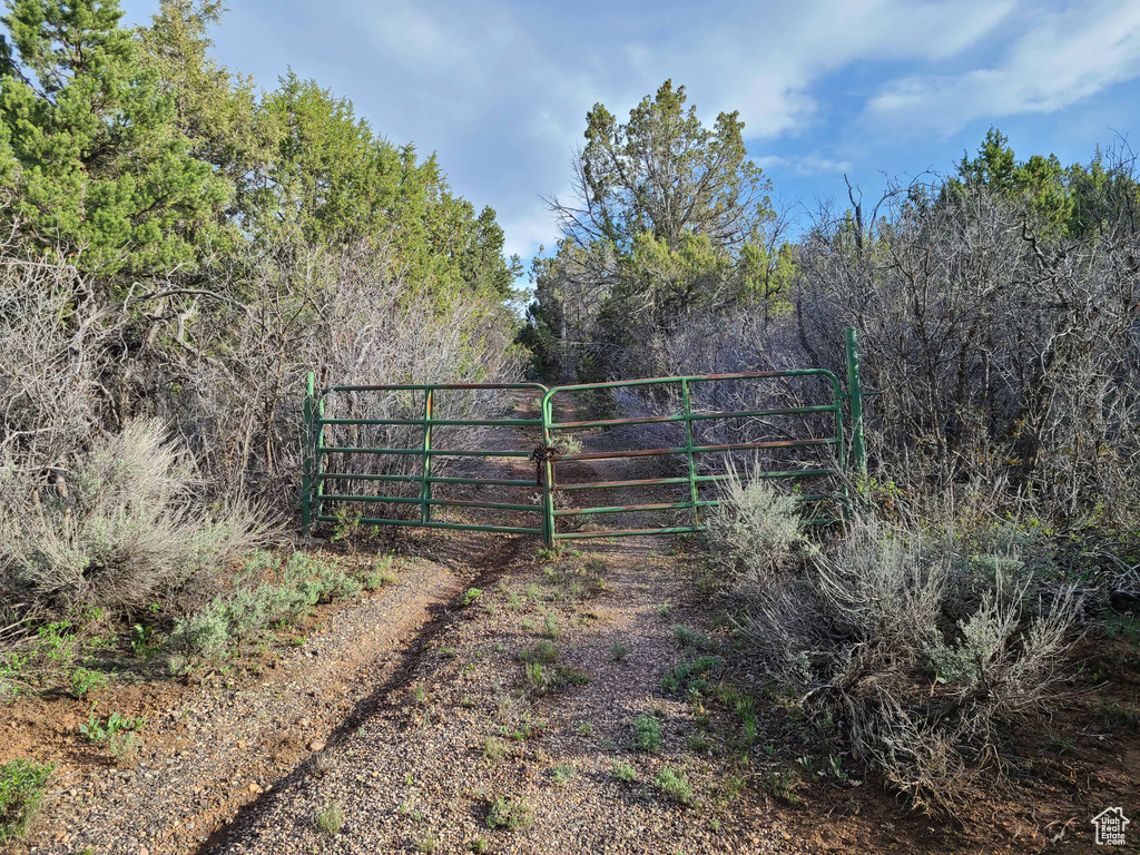 View of gate