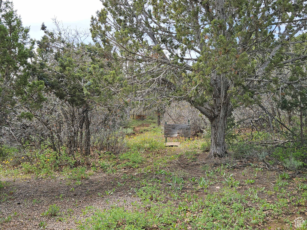 View of nature