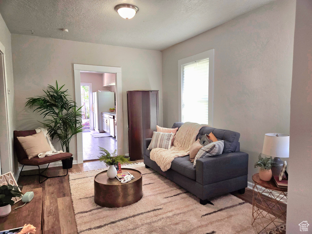 Living area with light wood-style floors, healthy amount of natural light, a textured ceiling, and baseboards