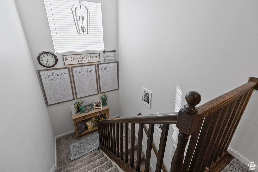 Stairs featuring carpet and baseboards