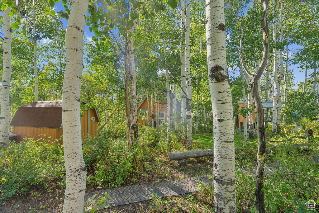 View of nature