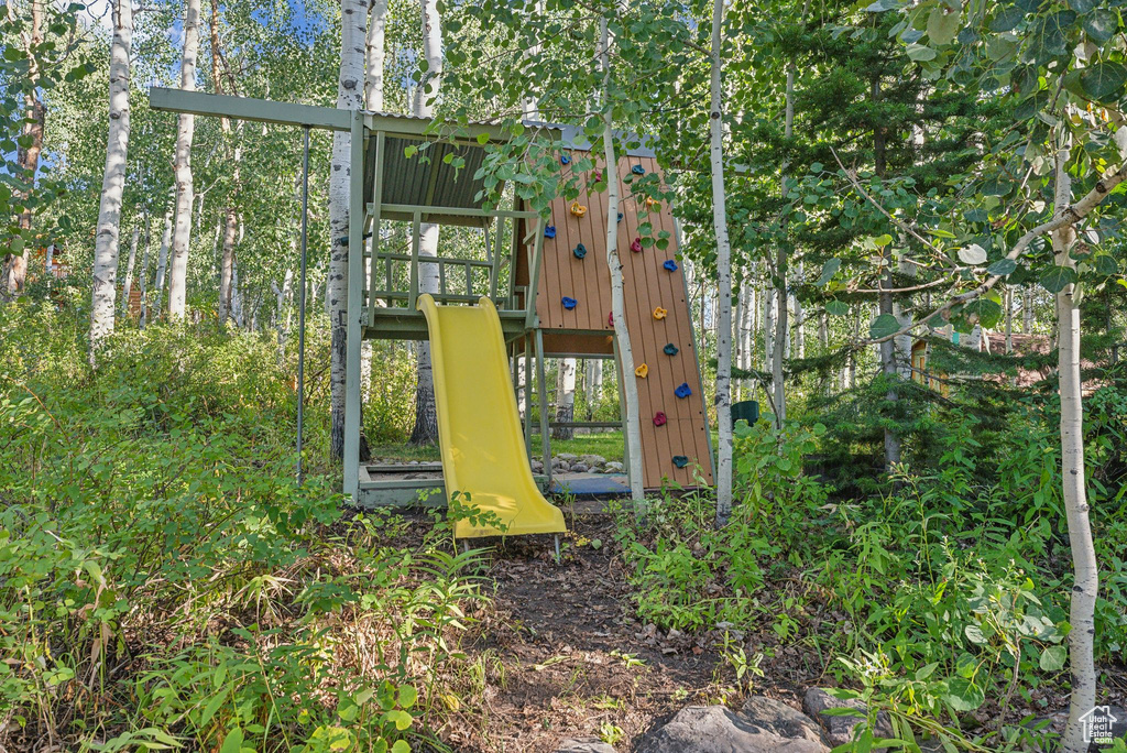 View of jungle gym