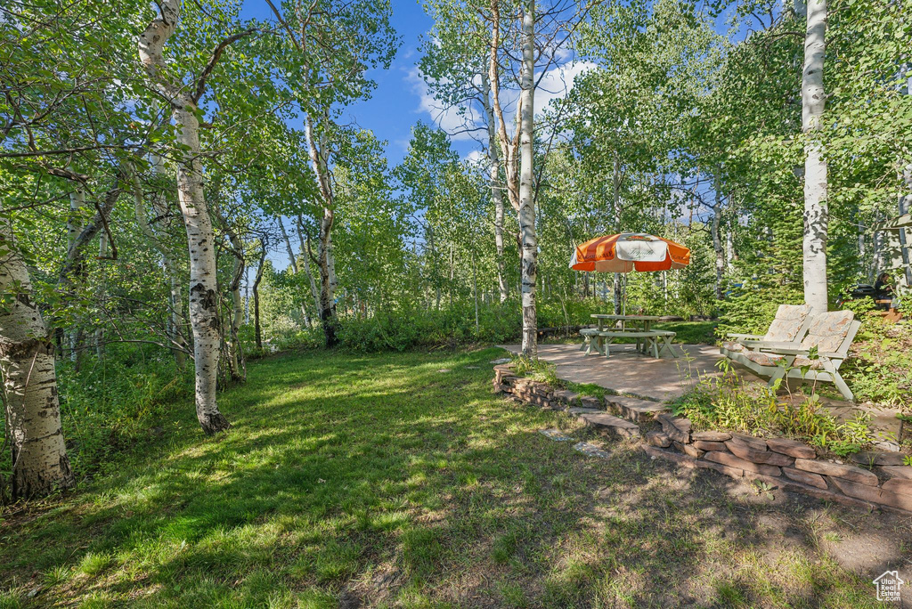 View of grassy yard with a patio area