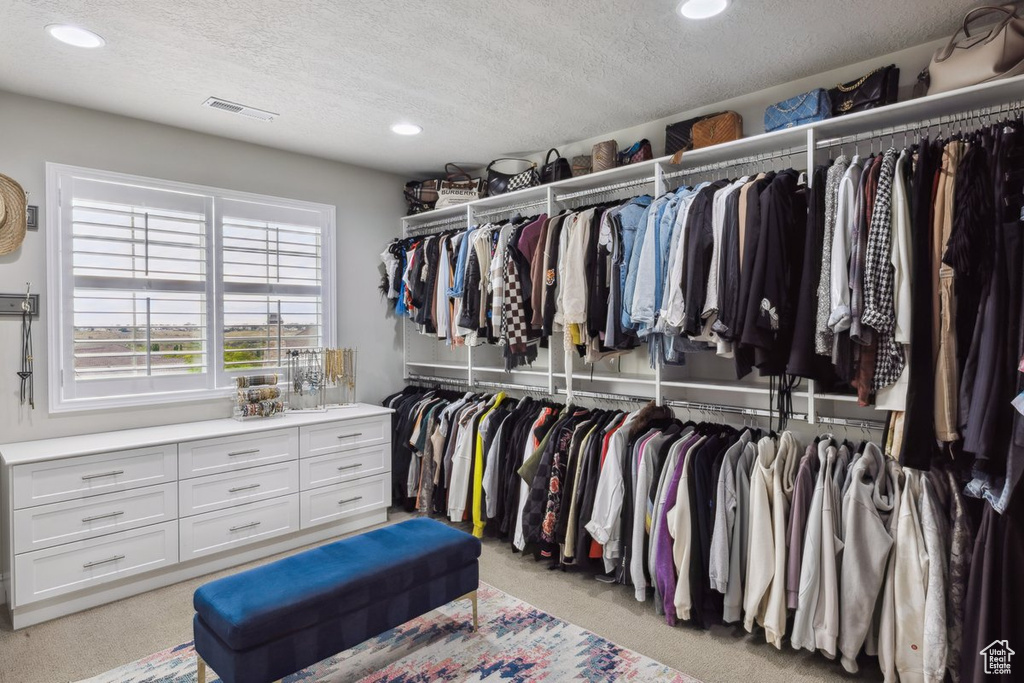 Spacious closet featuring light carpet