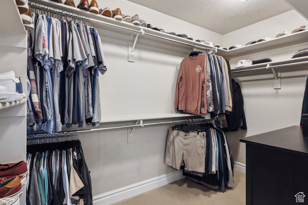 Spacious closet featuring carpet floors