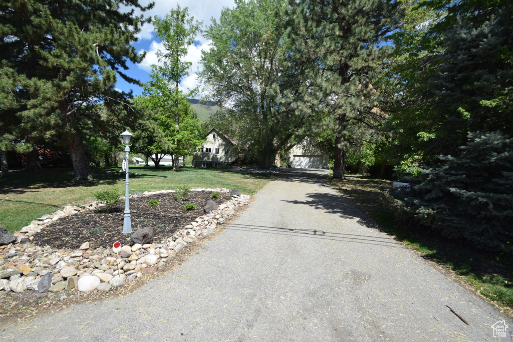 View of asphalt driveway with street lights