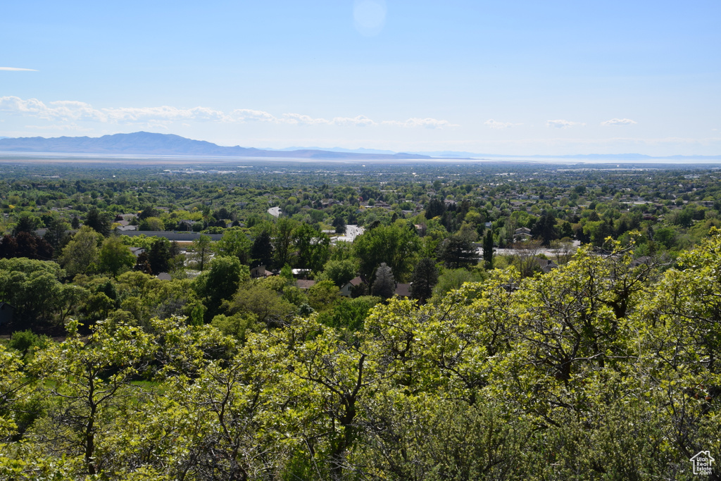 Aerial view of property and surrounding area with a forest and mountains