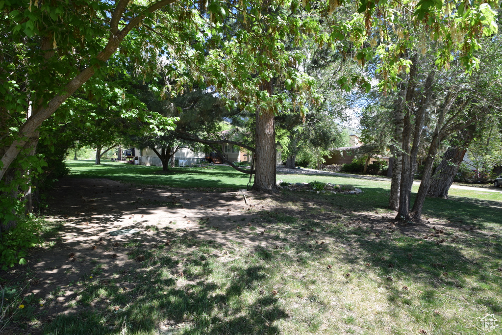 View of grassy yard