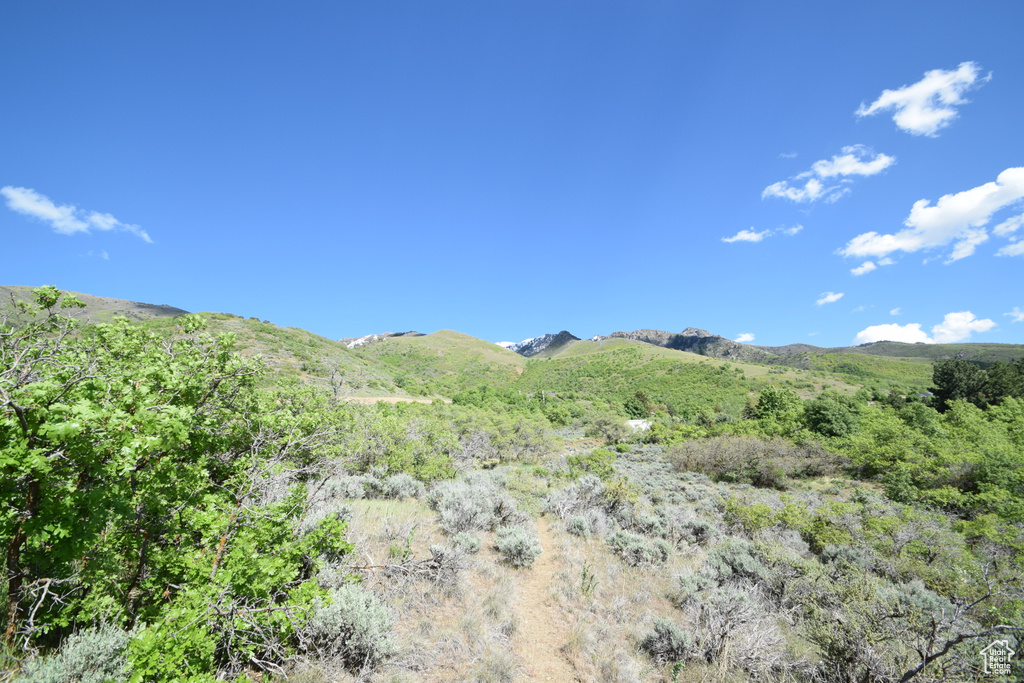 Mountain view