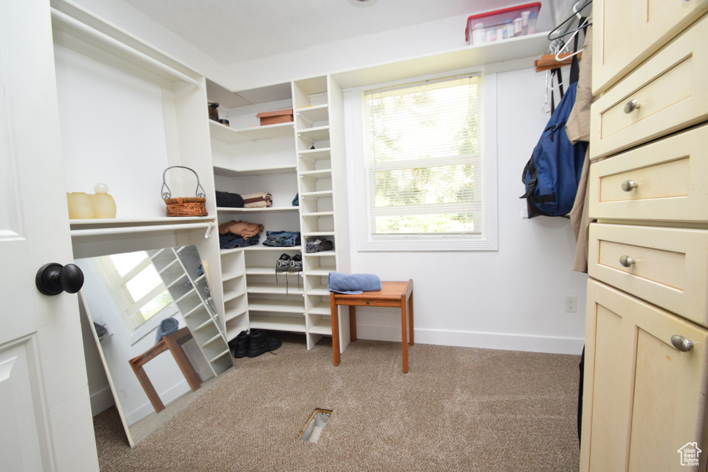 Walk in closet featuring carpet