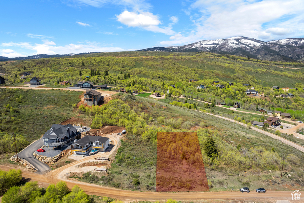Bird's eye view of mountains and a forest