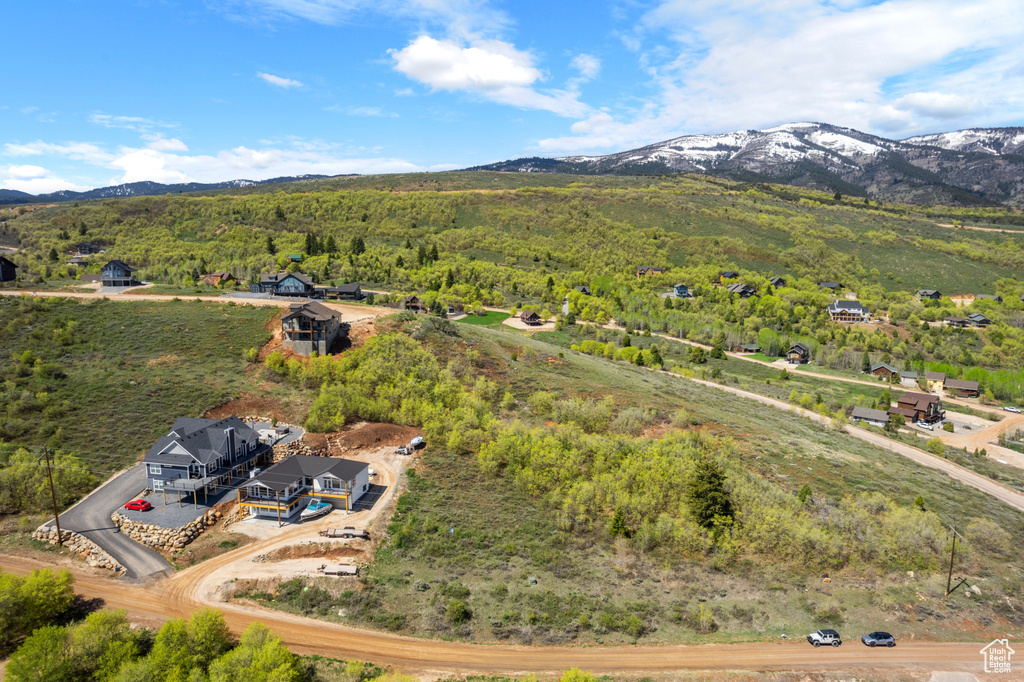 Aerial view of a mountainous background and a forest