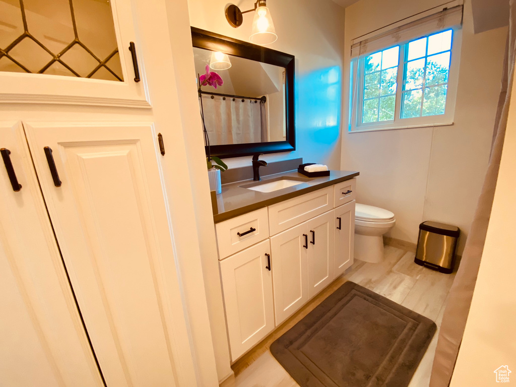 Full bathroom with vanity, toilet, and a shower with shower curtain
