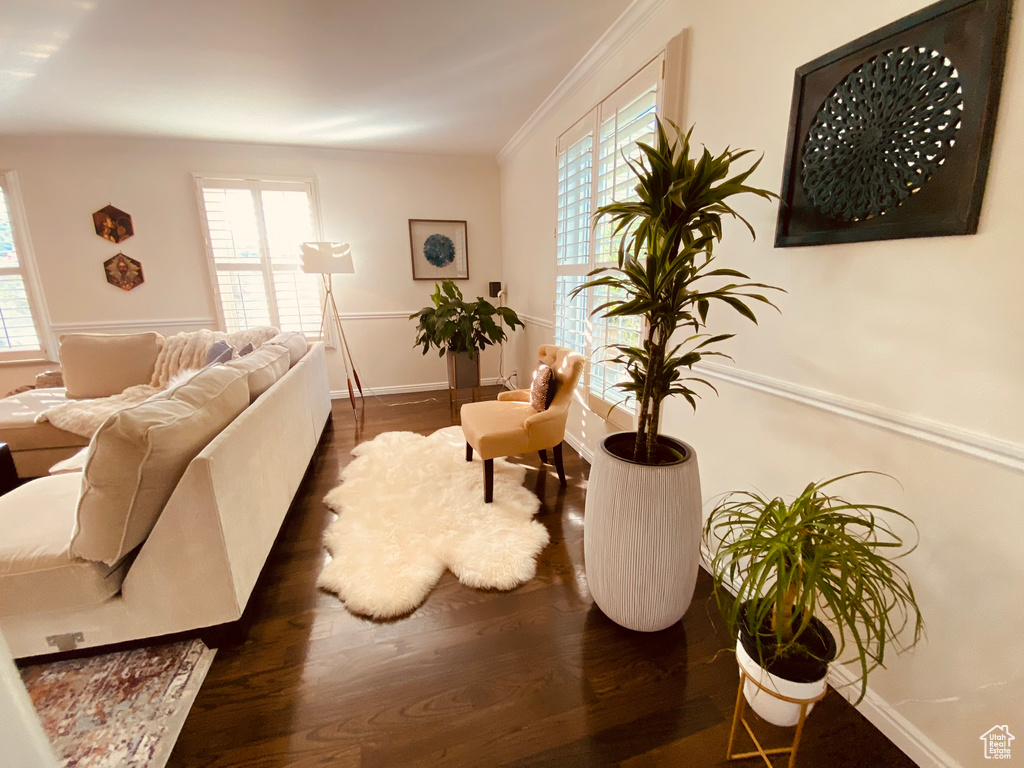 Living area featuring wood finished floors, healthy amount of natural light, baseboards, and ornamental molding