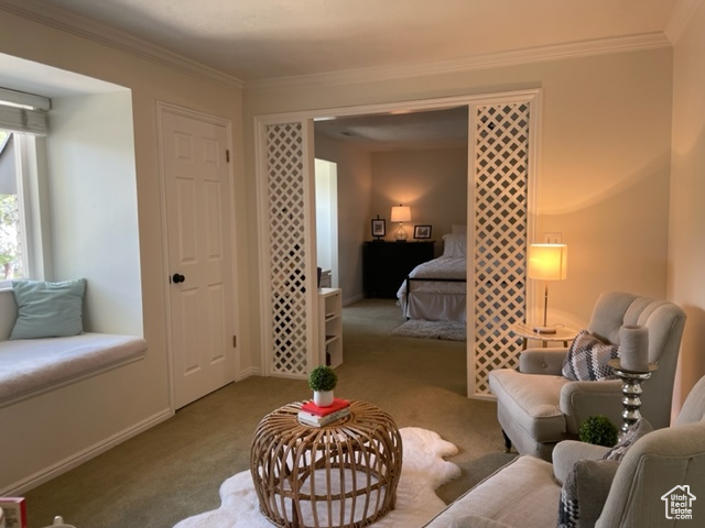 Living area with carpet flooring, ornamental molding, and baseboards