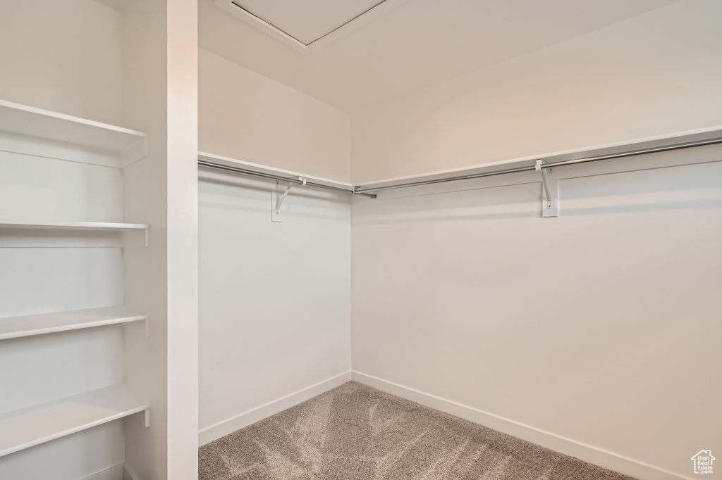 Spacious closet with carpet