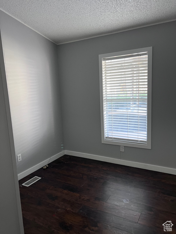 Spare room featuring healthy amount of natural light, dark wood finished floors, a textured ceiling, and baseboards