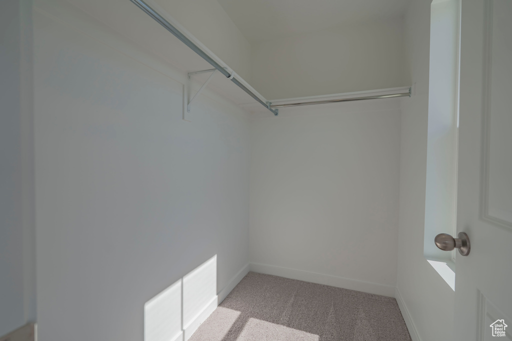 Walk in closet featuring light colored carpet
