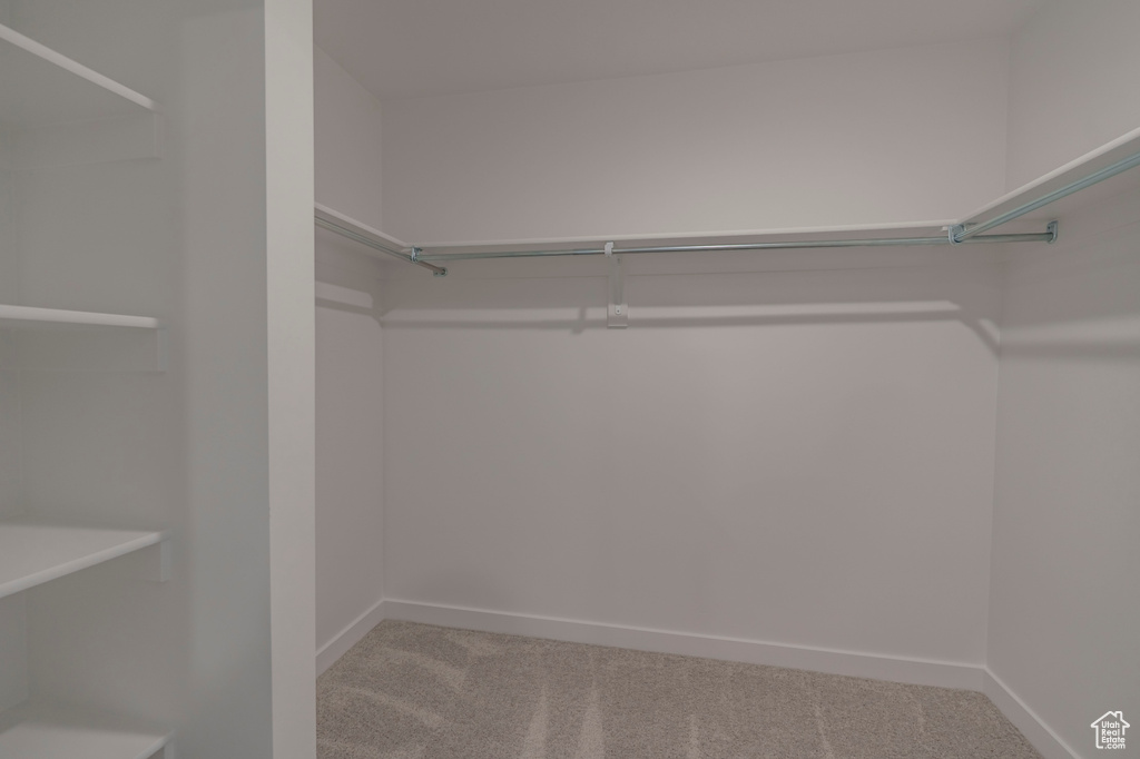 Spacious closet with carpet flooring