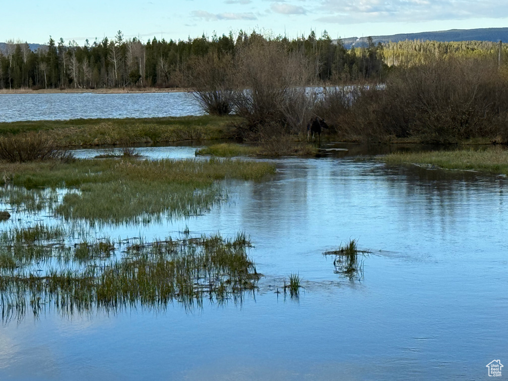Water view with a heavily wooded area