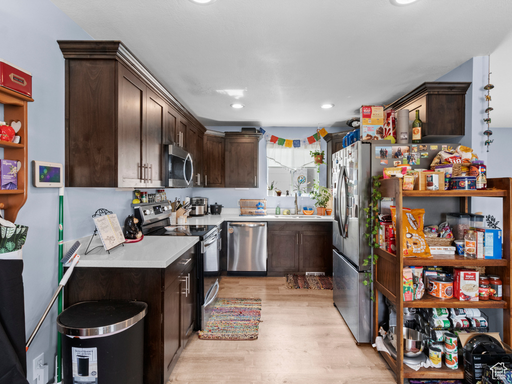 Kitchen featuring stainless steel appliances, dark brown cabinetry, light countertops, light wood finished floors, and a sink