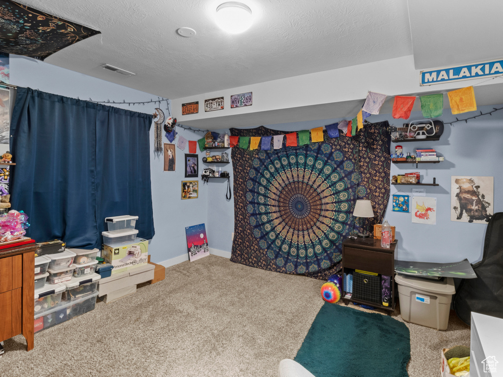 Recreation room with carpet