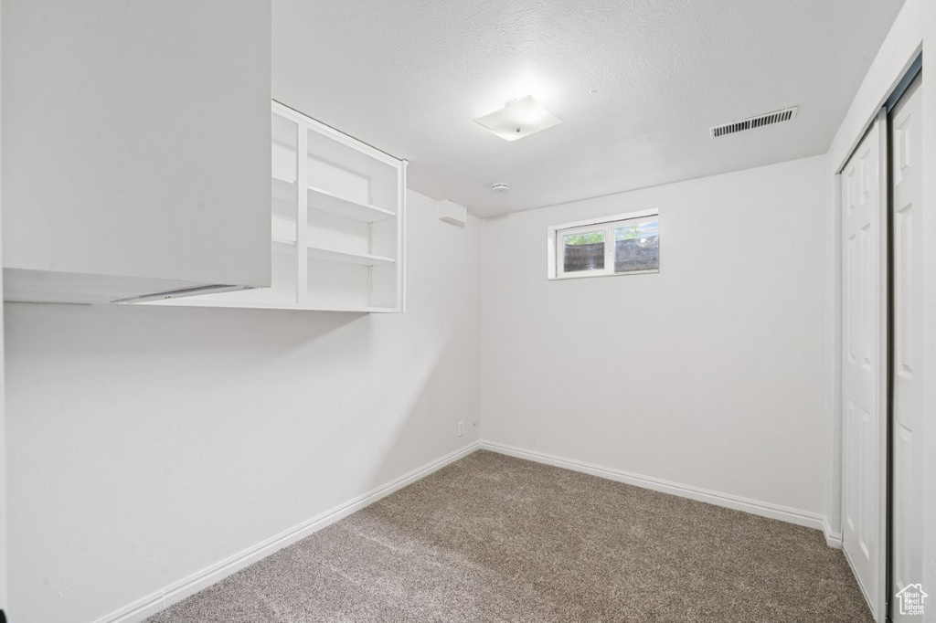 Spacious closet featuring carpet