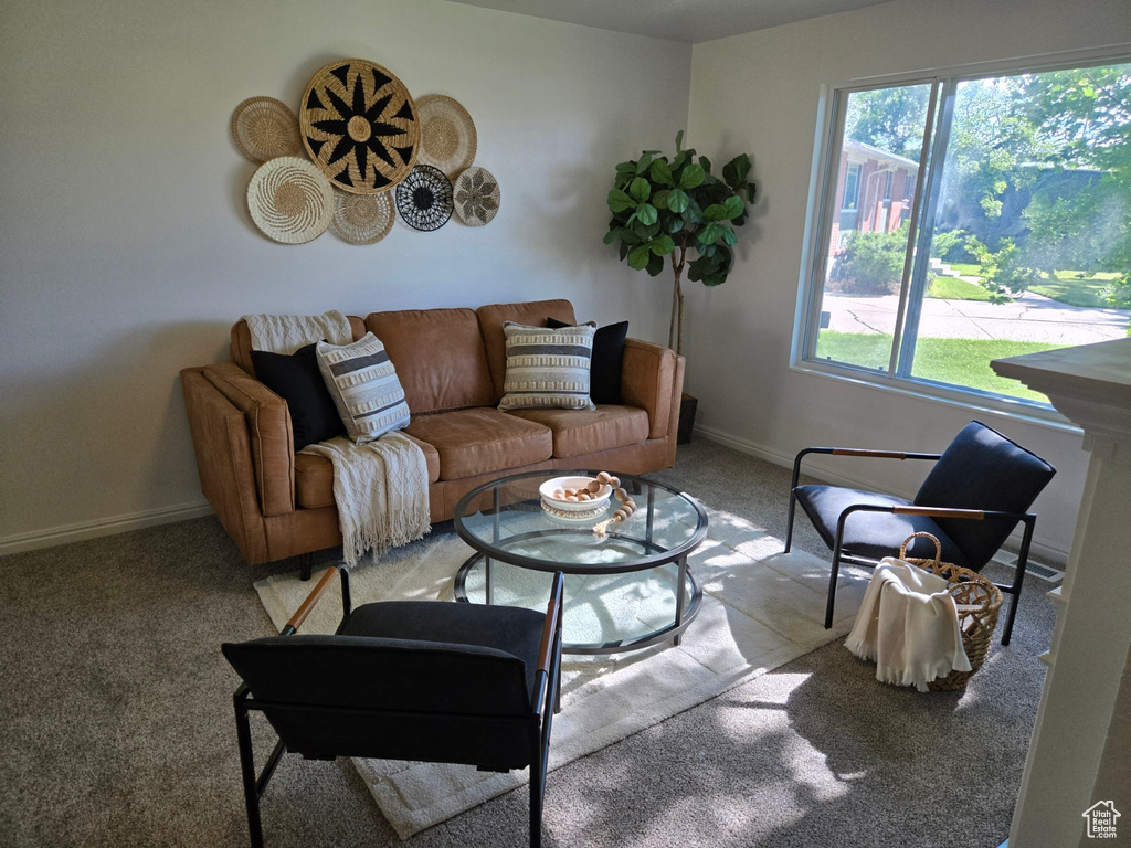 Carpeted living room with plenty of natural light and baseboards