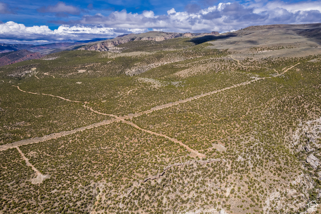 Bird's eye view of mountains