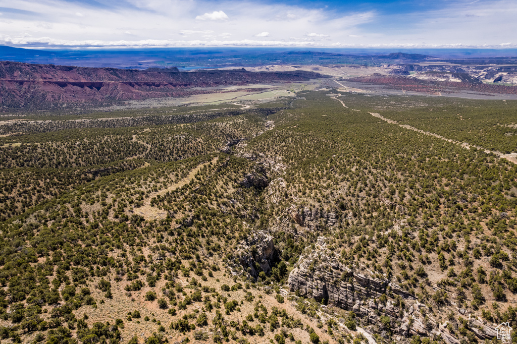 Bird's eye view of mountains