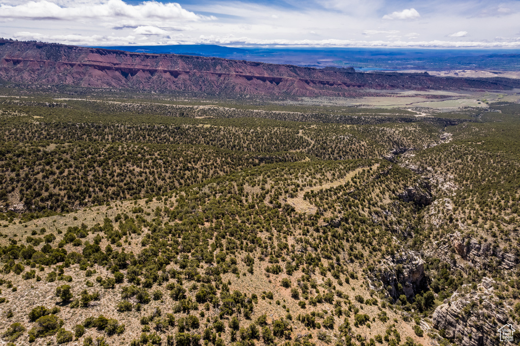 Aerial view of a mountain backdrop
