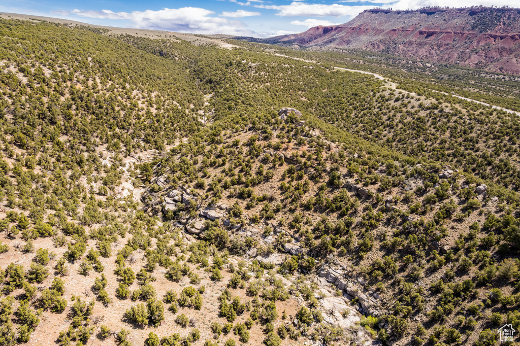 Bird's eye view of mountains