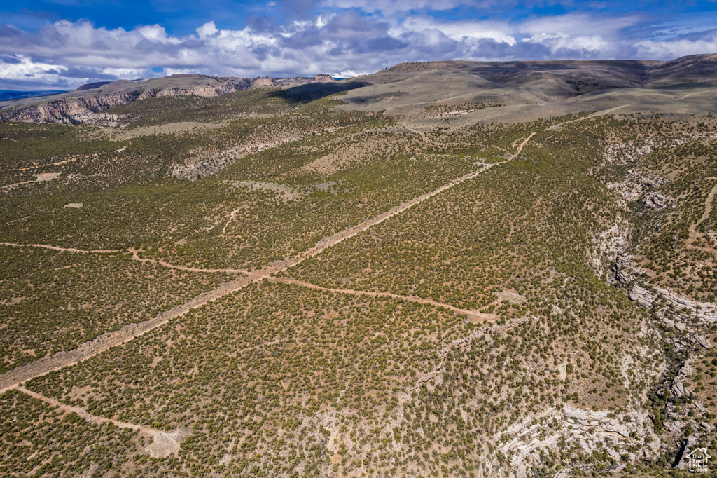 Bird's eye view of mountains