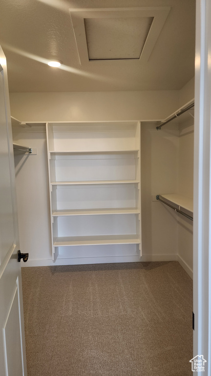 Walk in closet with carpet floors and attic access