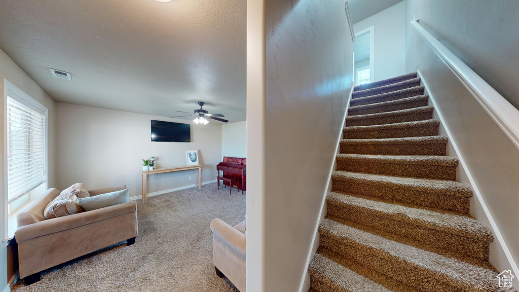 Staircase with carpet, ceiling fan, and baseboards